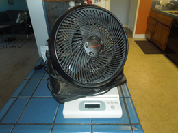 fan
