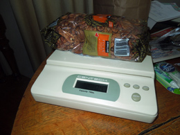 pecan bag